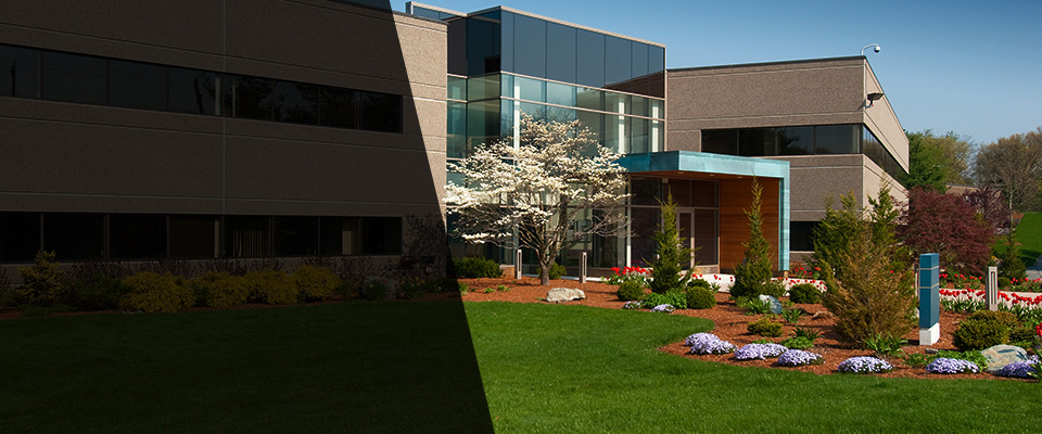 North Grafton Landscapers