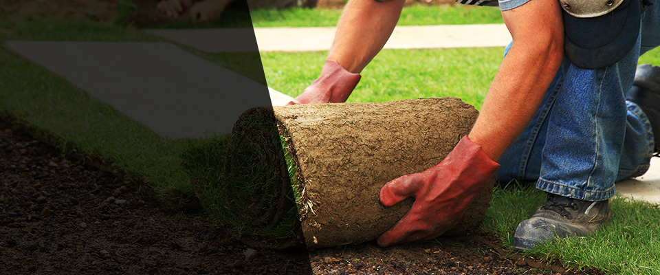 North Grafton Landscapers